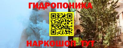 трава Бийск