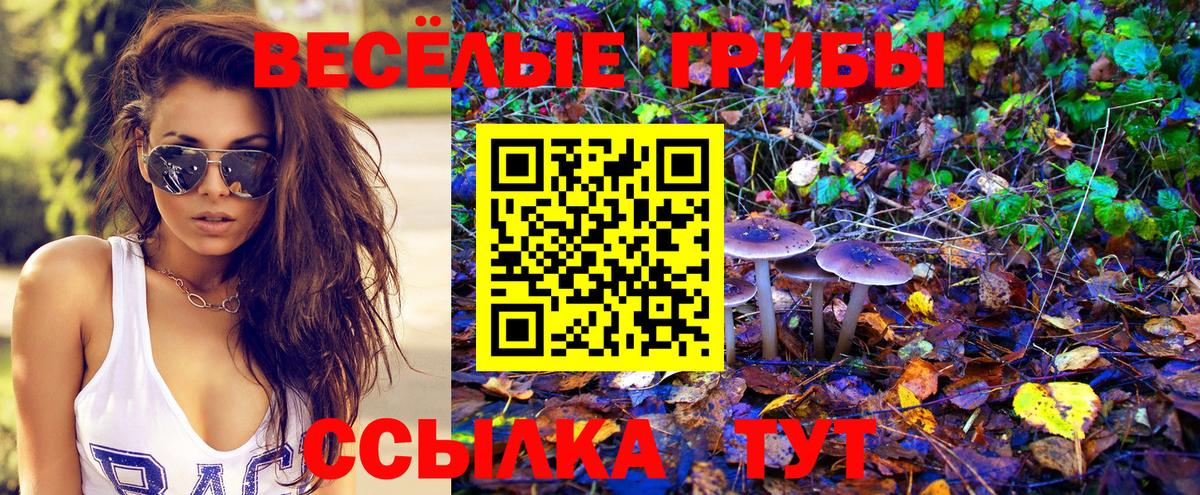 Галлюциногенные грибы мухоморы  Псилоцибиновые грибы MAGIC MUSHROOMS  Вход с VPN  наркота  Выборг 